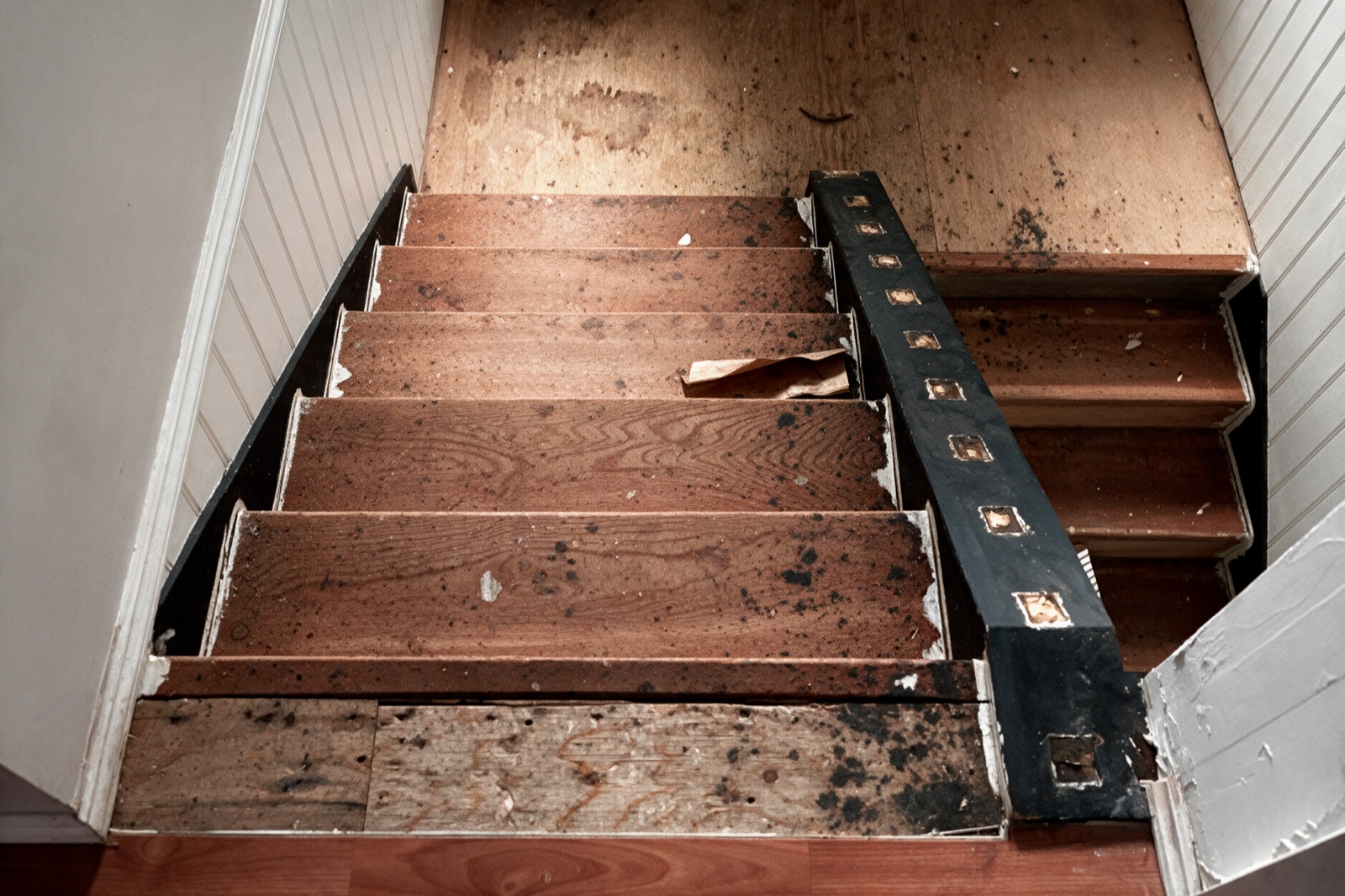 Before — Stairs. Wood Rot Repair Vancouver, BC. Stop the rot co.