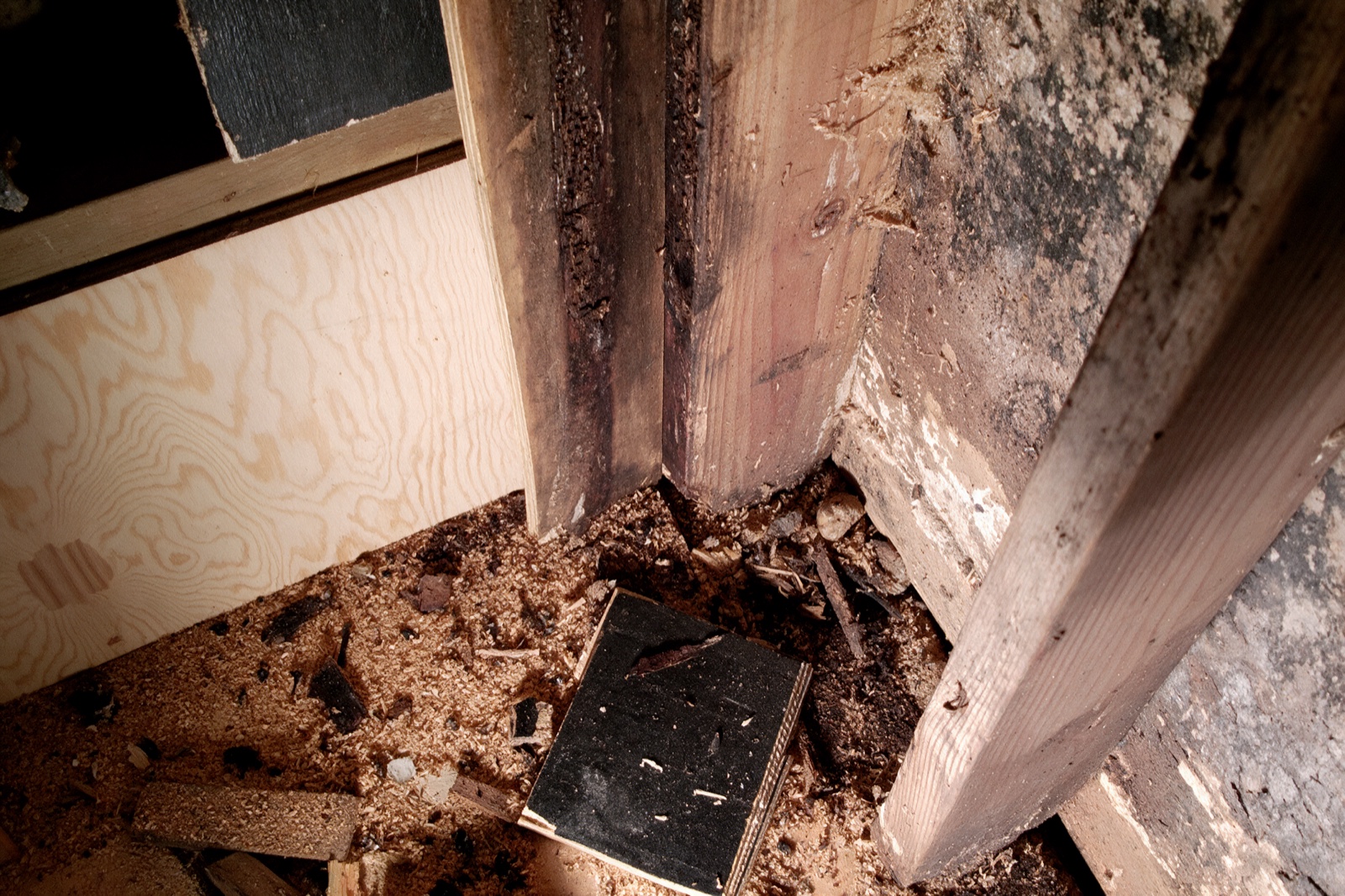 Before — Structural. Wood Rot Repair Vancouver, BC. Stop the rot co.