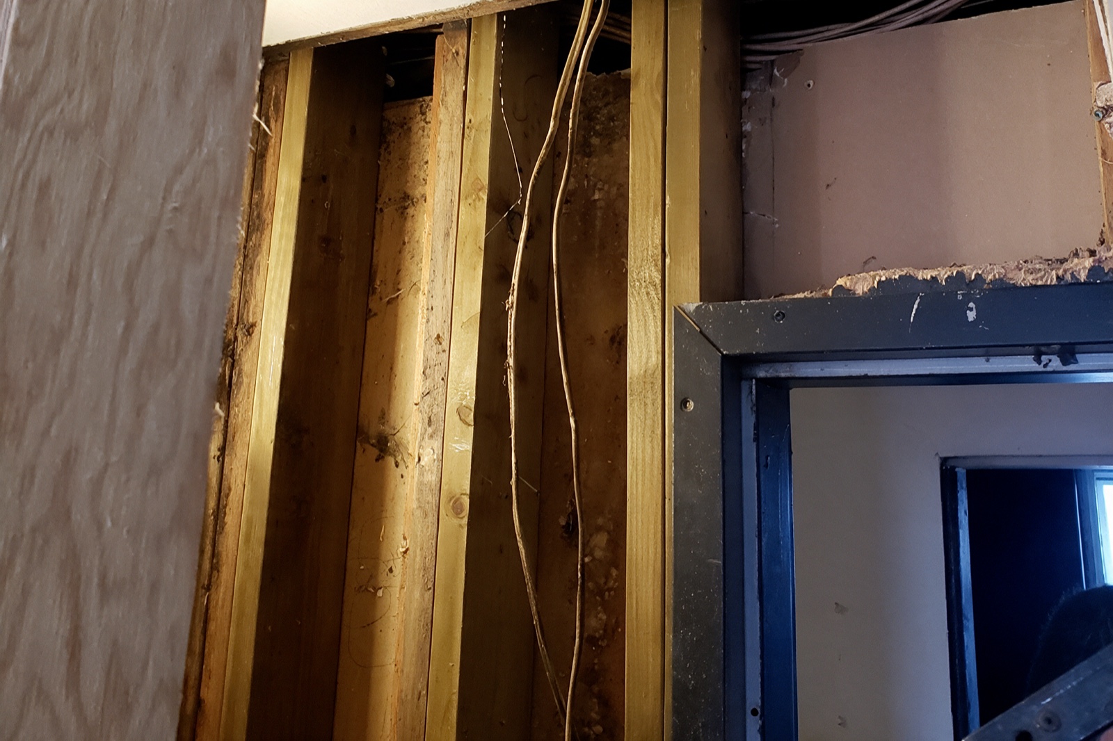 Structural. Wood Rot Repair Vancouver, BC. Stop the rot co.