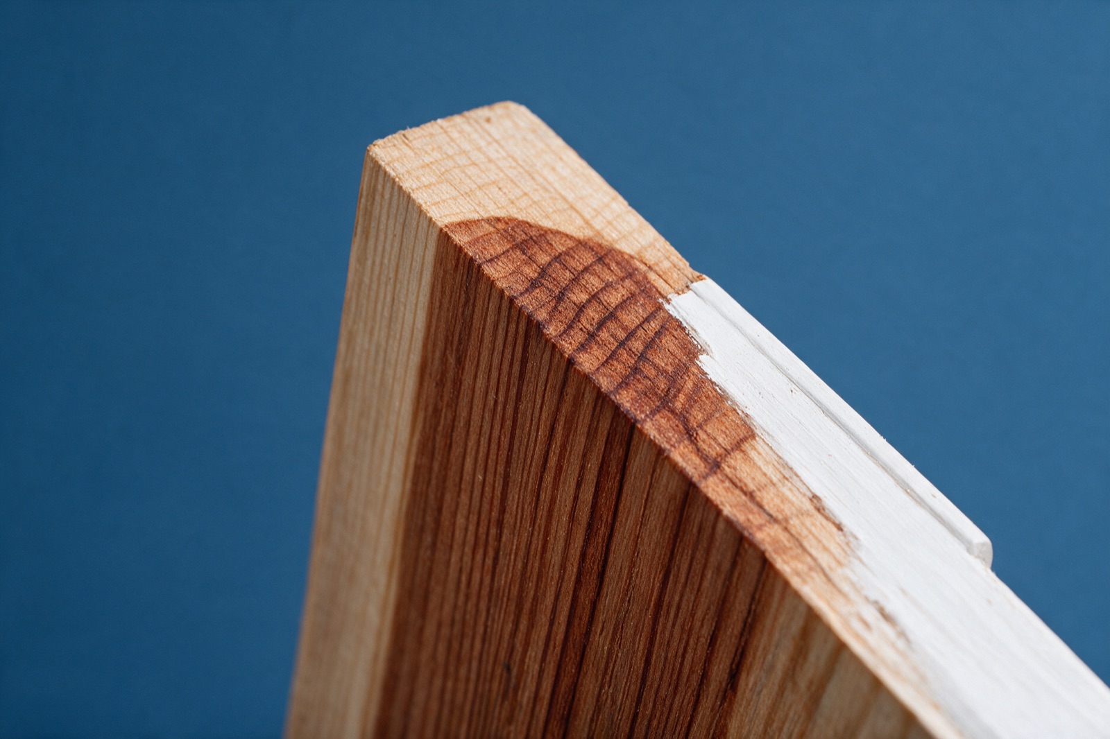 Best Wood Species for Rot Resistance. Wood Rot Repair Vancouver, BC. Stop the rot co.