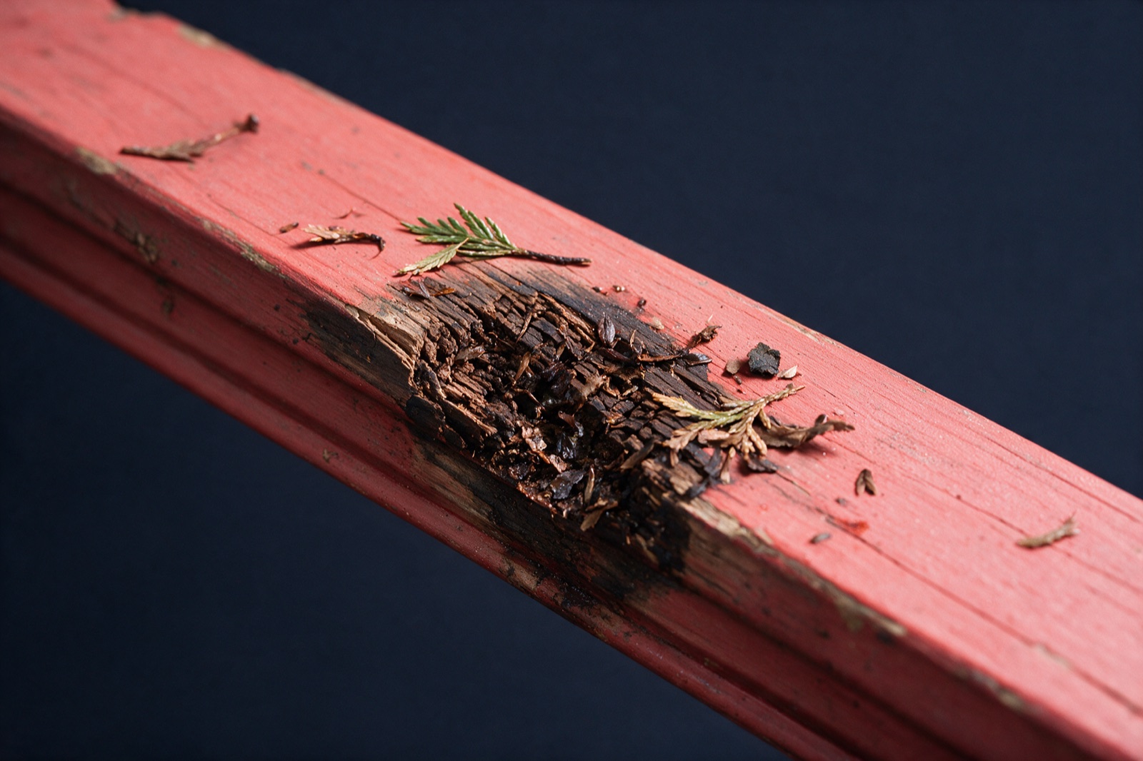 Wood Rot Repair Vancouver, BC. Wood Rot Repair Vancouver, BC. Stop the rot co.