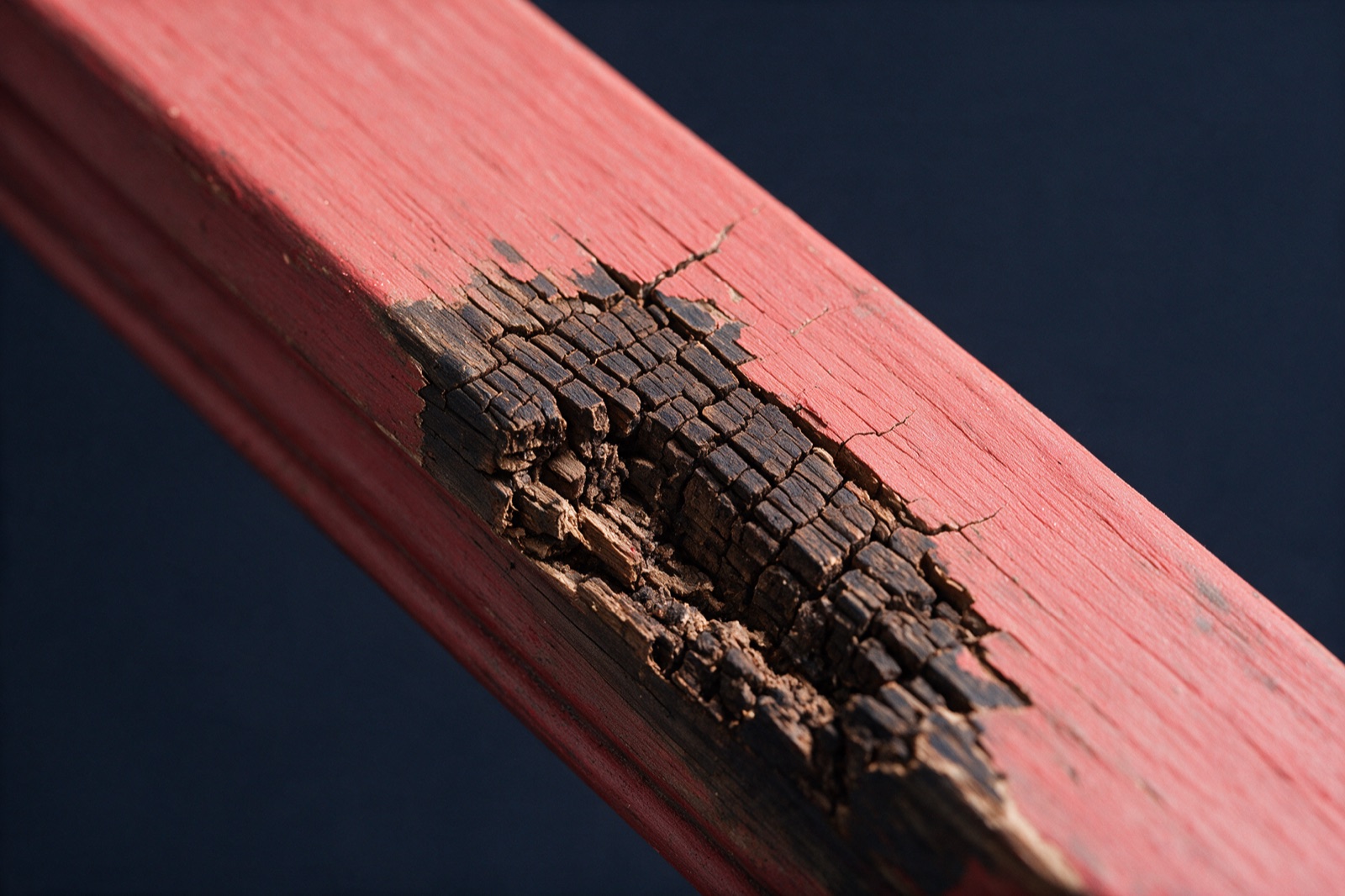 What Is Brown Rot. Wood Rot Repair Vancouver, BC. Stop the rot co.