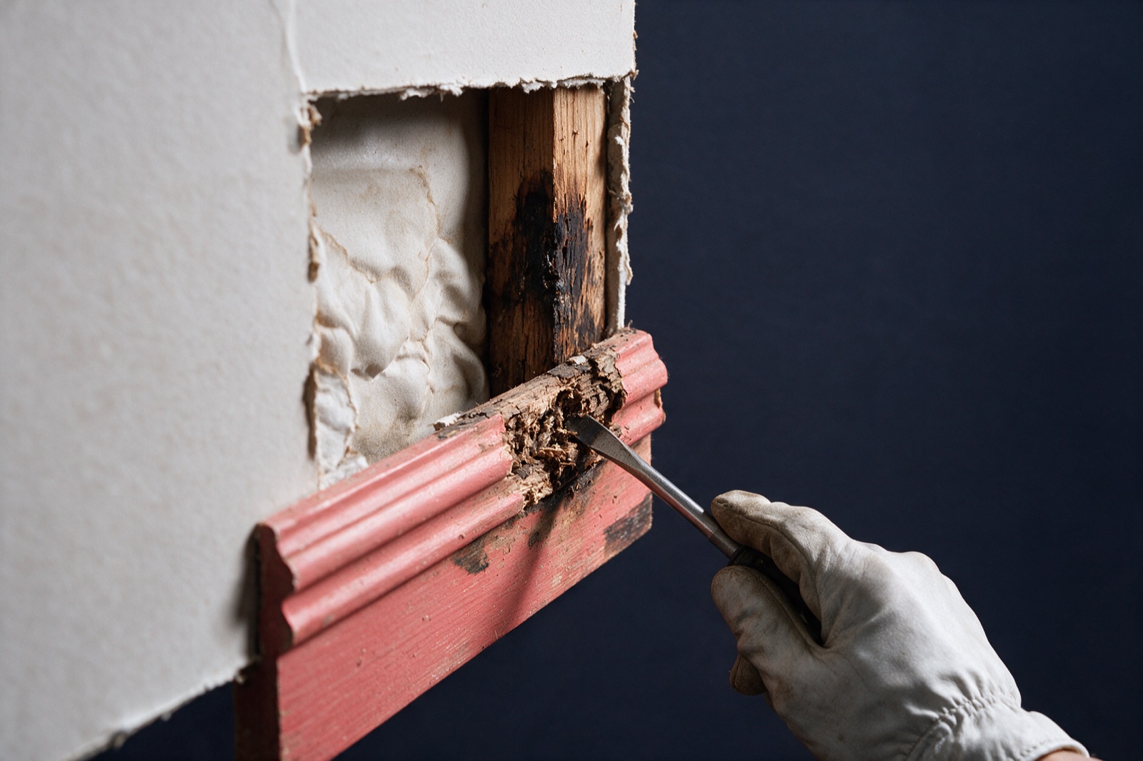 Wood Rot in Walls: What It Means and How to Check. Wood Rot Repair Vancouver, BC. Stop the rot co.