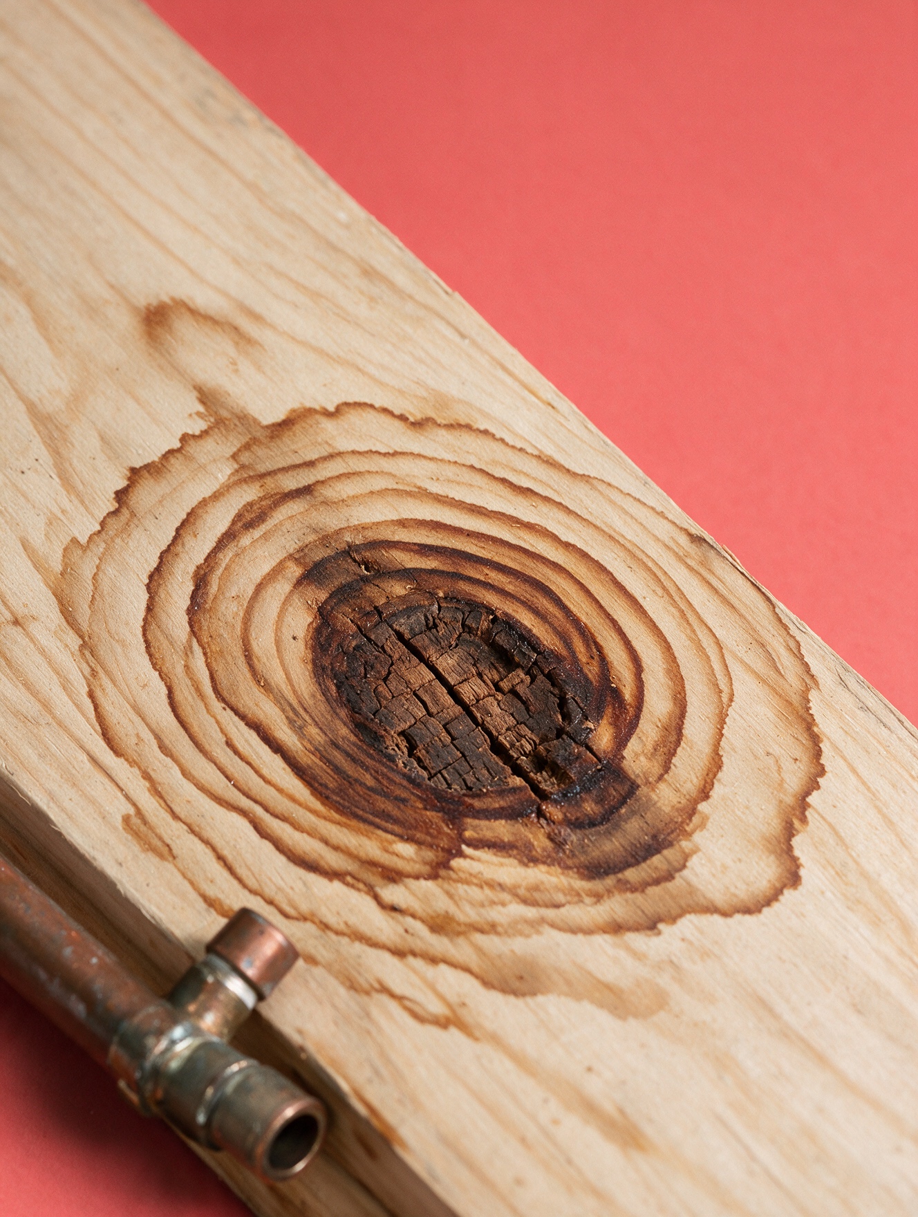 Water Leak Rot Damage Repair. Wood Rot Repair Vancouver, BC. Stop the rot co.