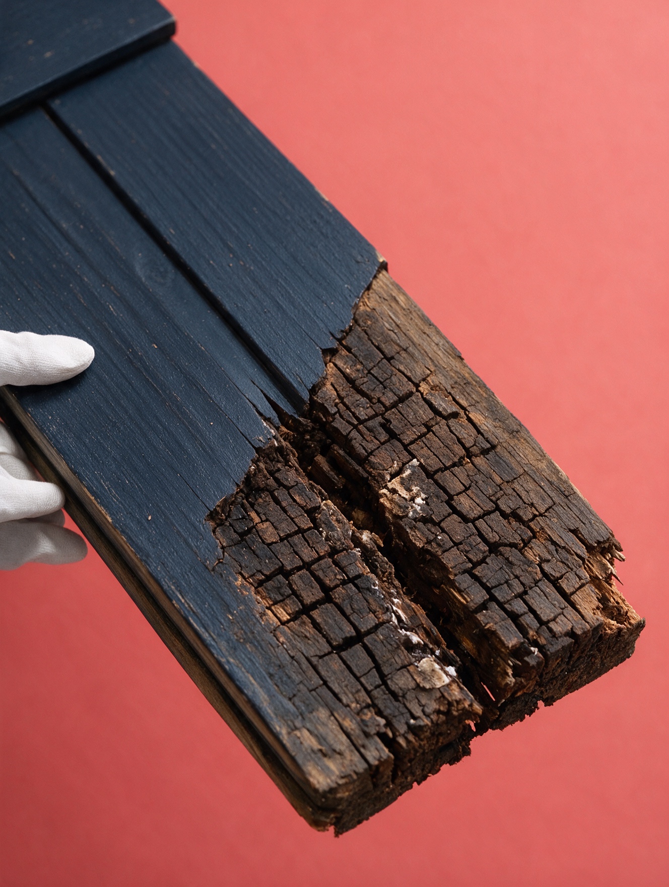 Wood Rot Repair. Wood Rot Repair Vancouver, BC. Stop the rot co.